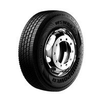 385/55  R22.5  WINDPOWER WSW80 160K